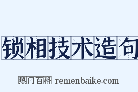 锁相技术造句是什么意思的图片
